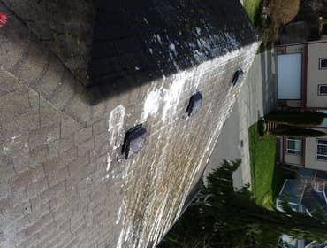 Liquid Moss treatment