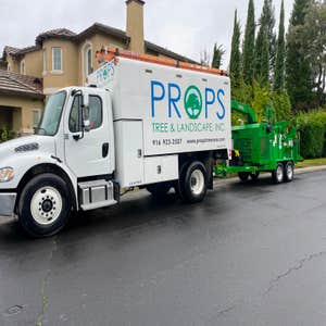 Props Tree & Landscape Inc