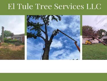 Photos by El Tule Tree Services LLC #24
