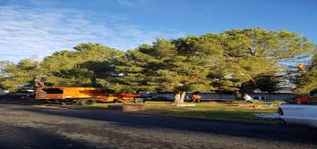 Testerman Tree Services Annandale