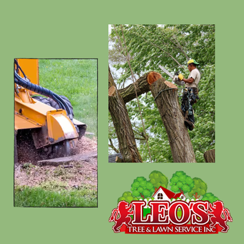 Photos by Leo’s Tree & Lawn Service Inc #1