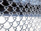 Chain Link