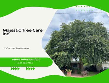 Photos by Majestic Tree Care Inc #9