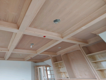 Living Space Ceiling Details