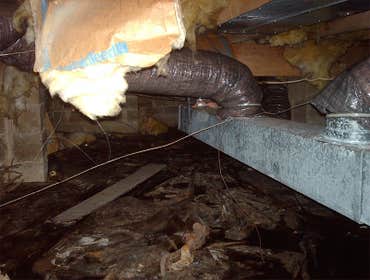 Photos by Algood Foundation Repair #1