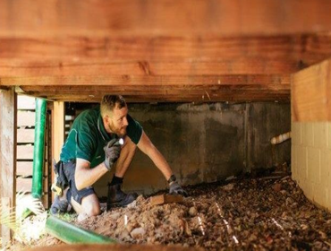 Photos by Paper City Termite Removal Experts #1