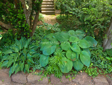 Photos from Ken's Landscaping & Asphalt Maintenance