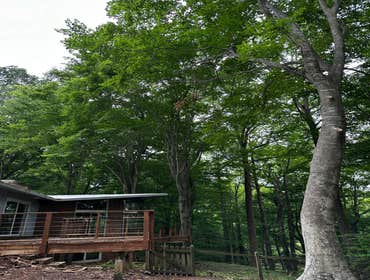 Flores Tree Services General & Landscaping