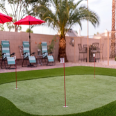 Photos by Gilbert Artificial Turf & Green #1