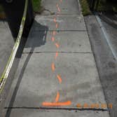 Photos from Whyte's Construction Group Llc Driveway and sidewalk restoration repair. Commercial project in the City of North Miami (Alix Renea Residenc