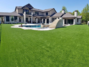 Photos by Tampa Turf Solutions #1