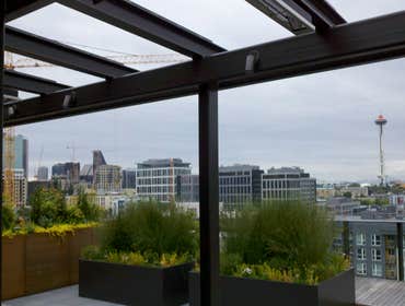 Outdoor Trellis Lighting SW1