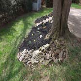 Stones