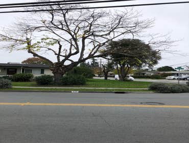 Photos by Encinal Tree Service Inc #12