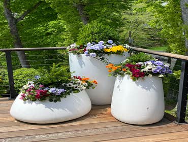 Photos by Hernandez ASSOC. Landscaping