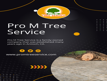 Photos by Pro M Tree Service #44