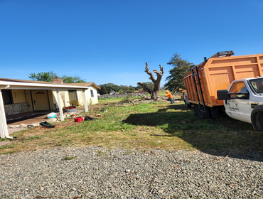 Photos by Chavezm Tree Service #8