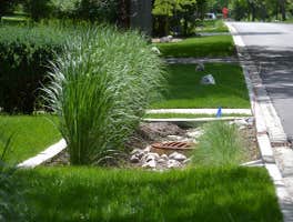 Photos by Landscape & Tree Company Inc #1