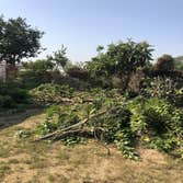 Diamond Land Clearing Asheville