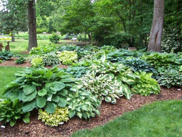 Photos by Elegant Landscaping #1
