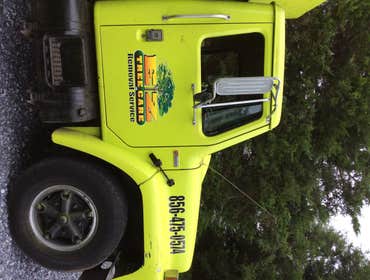 Tree Service South Jersey