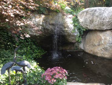 Pond, Water Feature