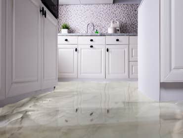 Photos by Vista Flood Restoration, Inc. #1