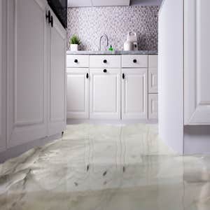 Photos by Vista Flood Restoration, Inc. #1