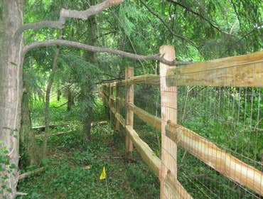 Fences