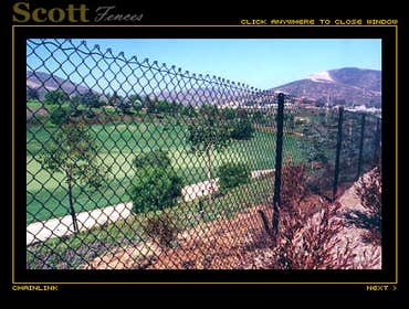Chain Link