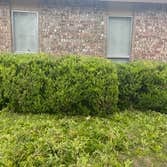 Photos by Jeremias Lawn Care Expert #1