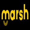 Marsh Paint Co logo
