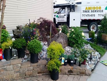 Photos by Amigos Lawn Care & Tree Service #1