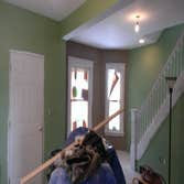 Insurance Repair Waterline broke and flooded 1st floor of the home while the homeowners were away. Complete remodel of the 1st floor.