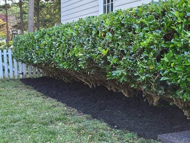 Photos by Landscape Science Lawn Care Company