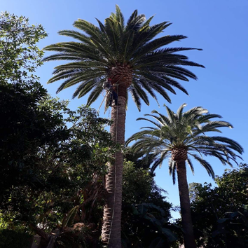Workgrove Landscape, Inc