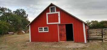 Rebuilt barn sided and roof