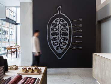 Dandelion Chocolate - Los Angeles Pop Up This temporary location for Dandelion Chocolate is primarily retail with educational chocolate-making experien