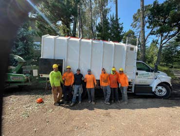 Photos by Moreno Tree Service #1