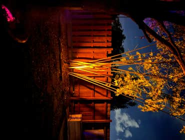 Photos by CER Electrical Services Inc of Florida #21 Color Landscape Lighting
