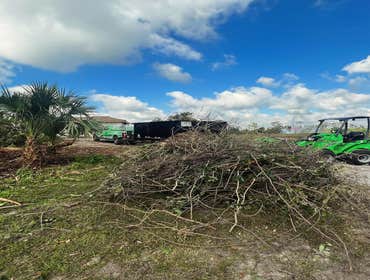 Photos by Arbobella Tree Service #1