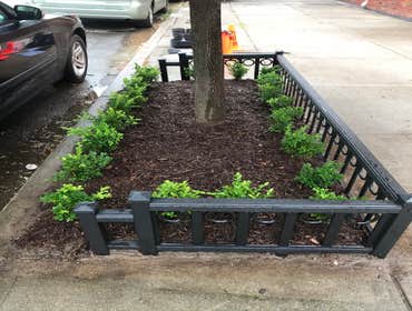 Photos by Nyc Tree Pit Services #1