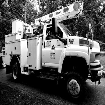 Patriot Tree Experts