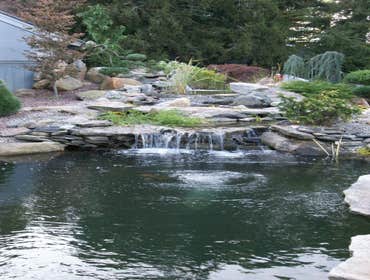 Water Feature