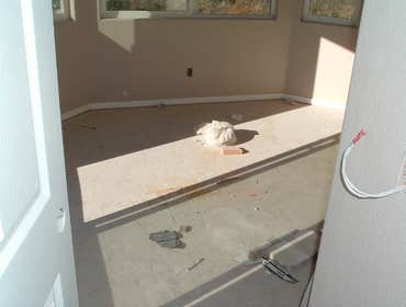 Photos from Delta Construction & Design Inc