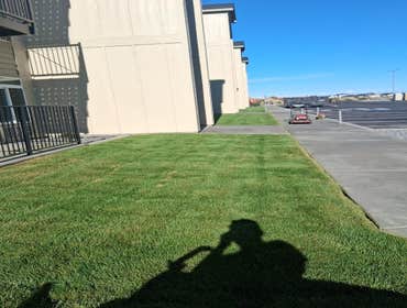 Photos by Carrillo Landscaping Services LLC #1