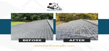 Panther Roof