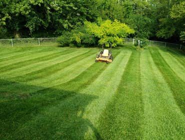Photos by Greenpal Lawn Care of Long Beach #1
