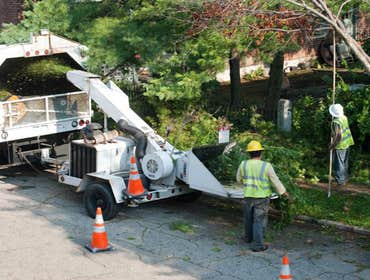 Photos by Burlington Tree Care & Removal Service #1