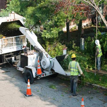 Photos by Burlington Tree Care & Removal Service #1